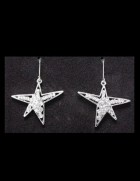 1 in. Star Earrings