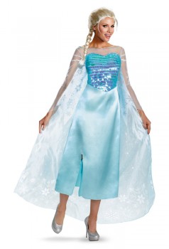 Disney Frozen Elsa Deluxe Adult Costume