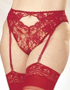 Plus Size Lace Garterbelt