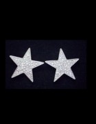 Star Earrings